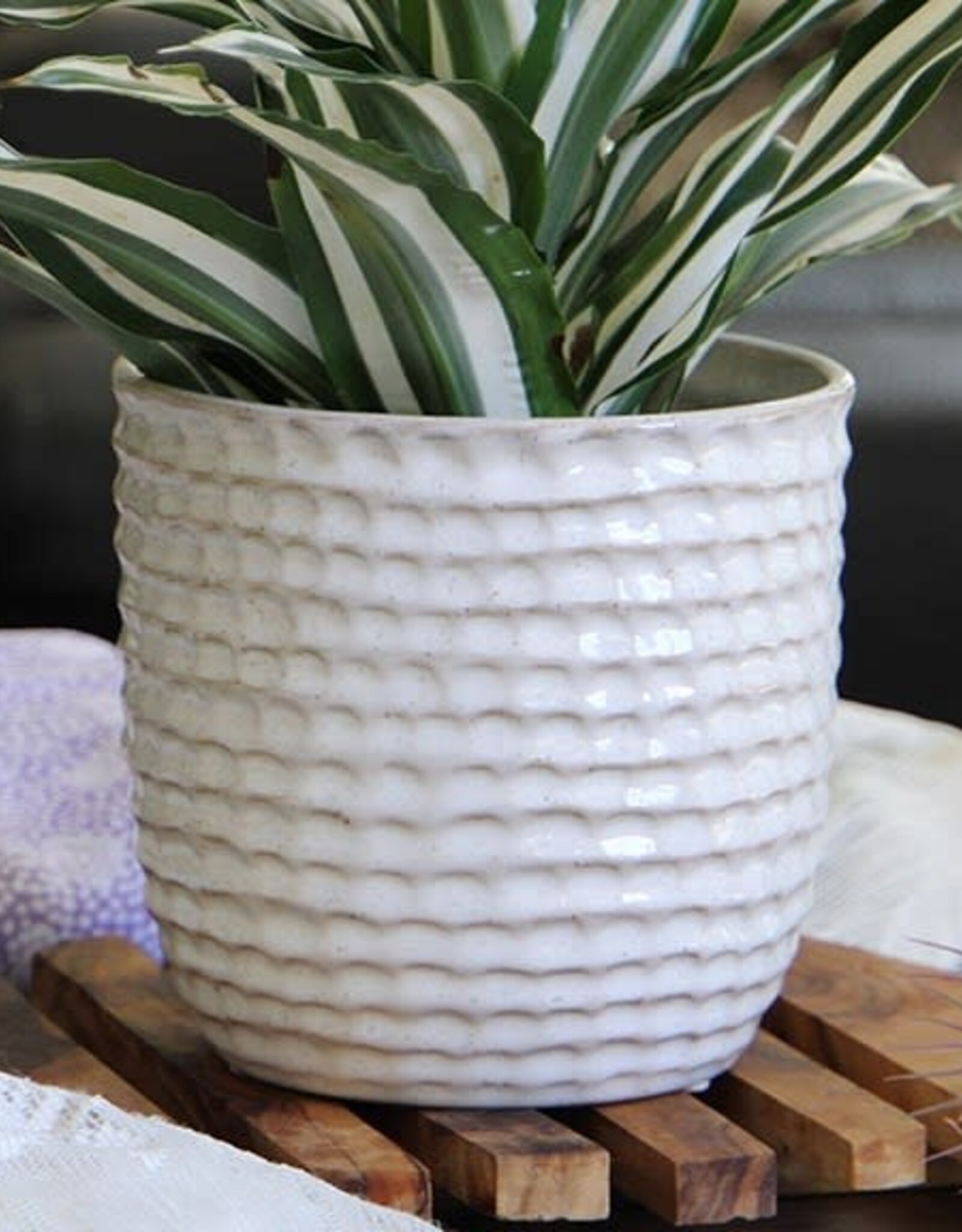 Pacific Home & Garden Palm Springs Honeycomb Pots  - 6.5in - White