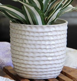 Pacific Home & Garden Palm Springs Honeycomb Pots  - 6.5in - White