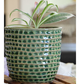 Pacific Home & Garden Palm Springs Honeycomb Planter  - 5.5in x 5in - Emerald