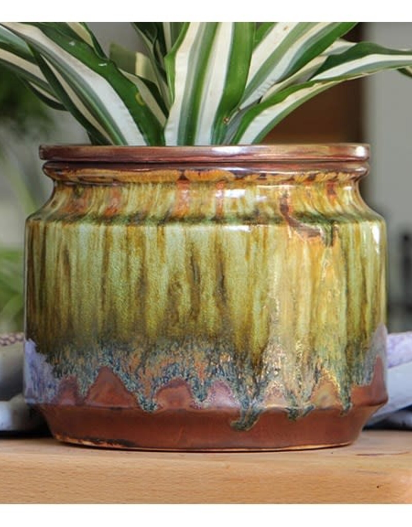 Pacific Home & Garden Jewel Pots self-watering  - 4.5in - Rust