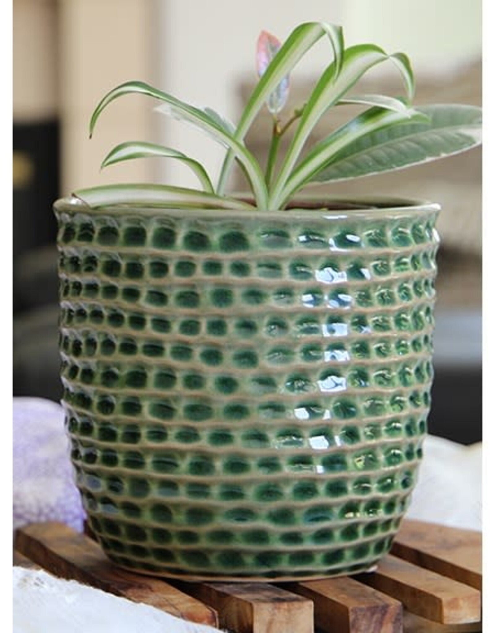 Pacific Home & Garden Palm Springs Honeycomb Pots  - 6.5in - Green