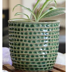 Pacific Home & Garden Palm Springs Honeycomb Pots  - 6.5in - Green