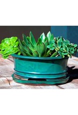 Pacific Home & Garden Verandah Ficus Bonsai Planters  - 8in - Jade