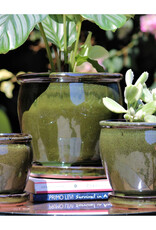 Pacific Home & Garden Verandah Butter Cup Pots  - 4.5in Diam x 4.5in H Green