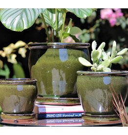 Pacific Home & Garden Verandah Butter Cup Pots  - 4.5in Diam x 4.5in H Green