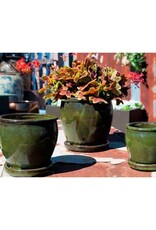 Pacific Home & Garden Verandah Butter Cup Pots  - 7.5in Diam x 7in H Green