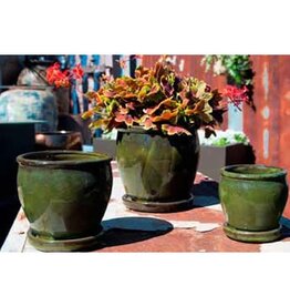 Pacific Home & Garden Verandah Butter Cup Pots  - 7.5in Diam x 7in H Green