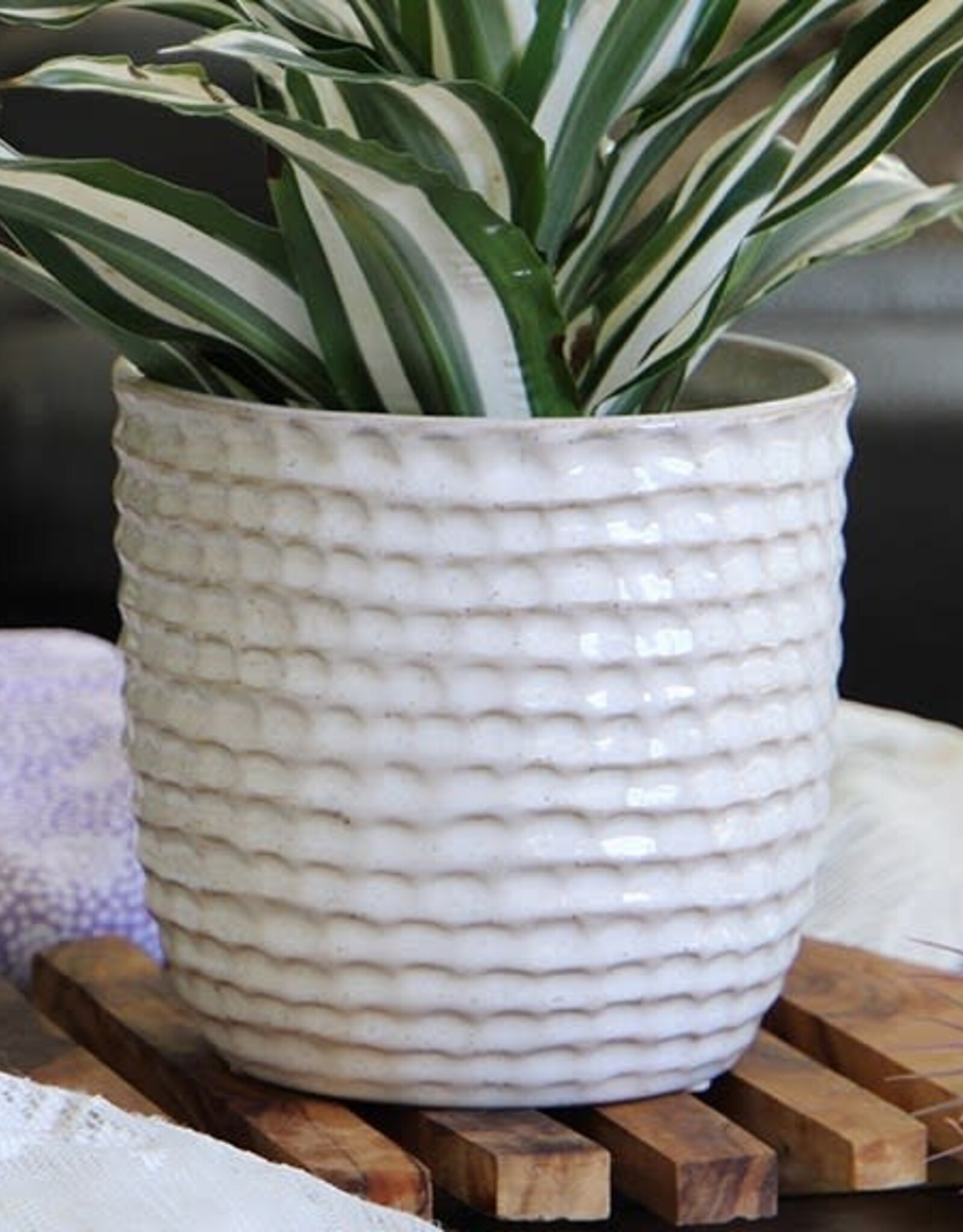 Pacific Home & Garden Palm Springs Honeycomb Pots  - 5.5in - White