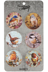 Tiny Bird Magnet Set