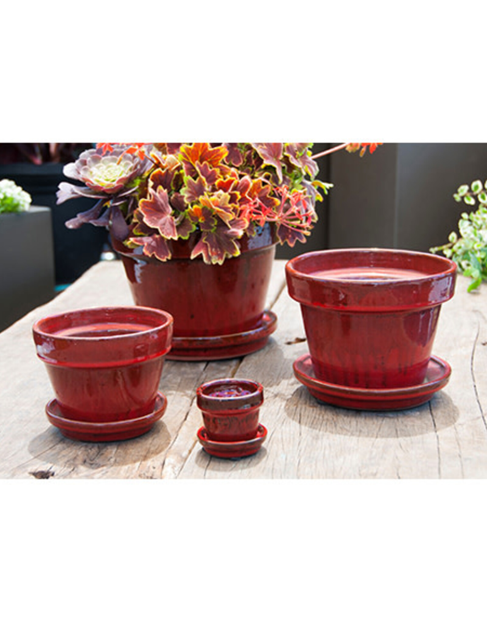 Pacific H & G Pacific Home & Garden Verandah Standard Table Top Planters  - 5.5in Diam x 4.5in H - Red