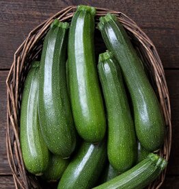 High Mowing Seed HM Stardust Zucchini  1/8 OZ