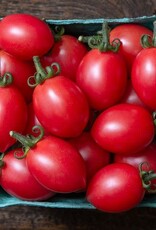 High Mowing Seed HM Pink Champagne Cherry Tomato  10 SEEDS