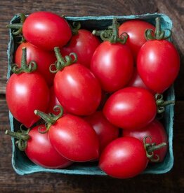High Mowing Seed HM Pink Champagne Cherry Tomato  10 SEEDS