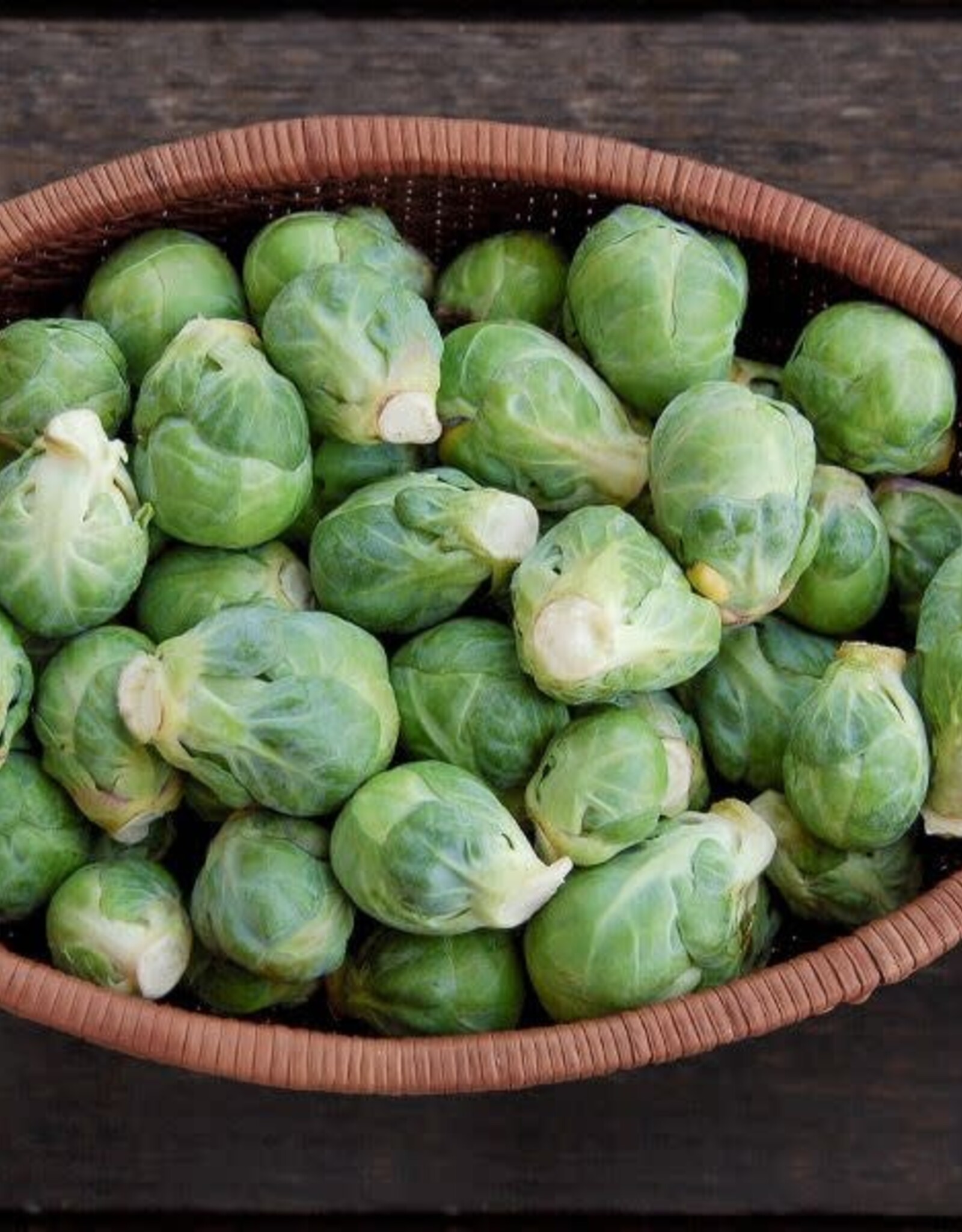 High Mowing Seed HM Igor F1 Brussels Sprouts  10 SEEDS
