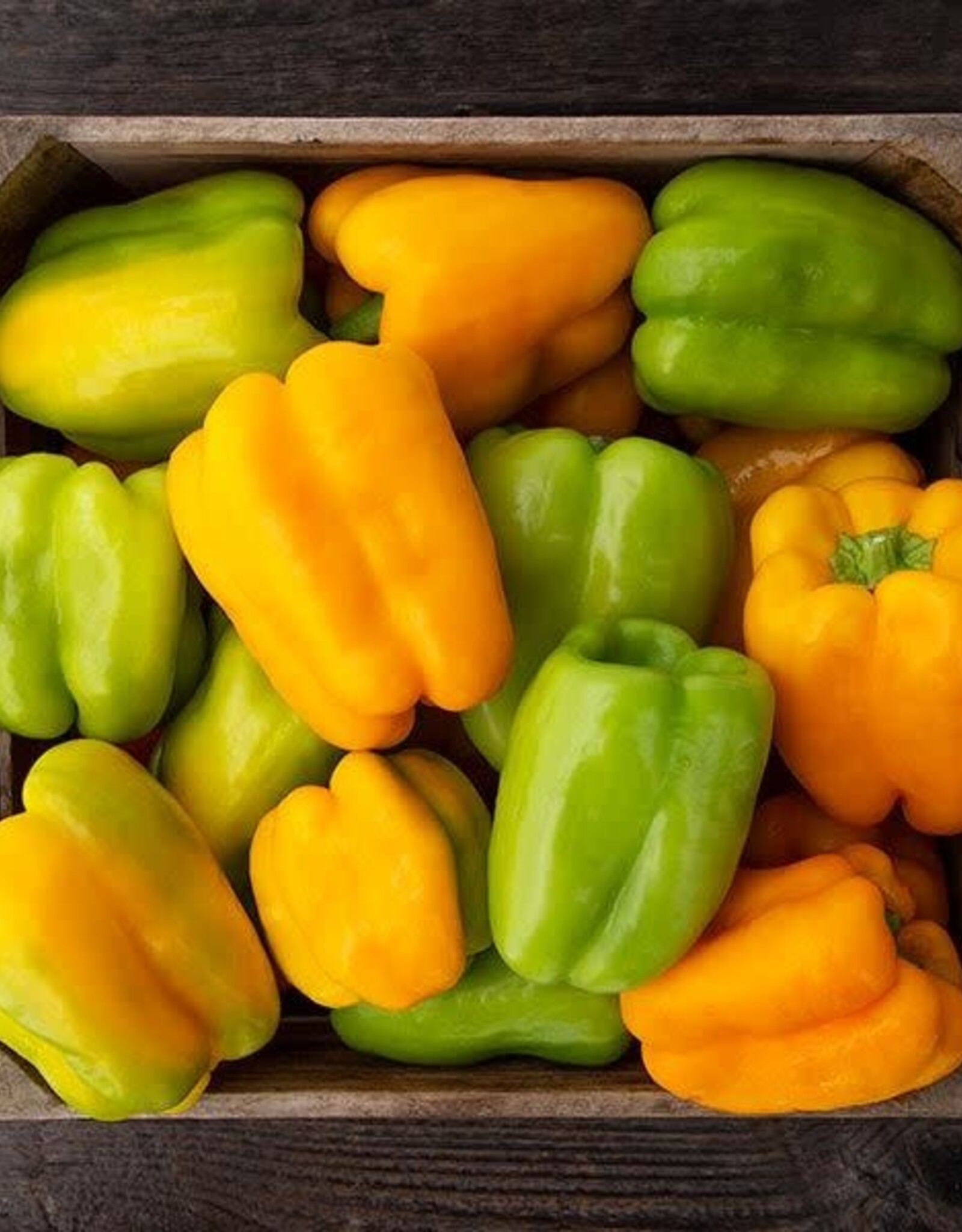 High Mowing Seed HM Flavor Burst Pepper: 10 SEEDS