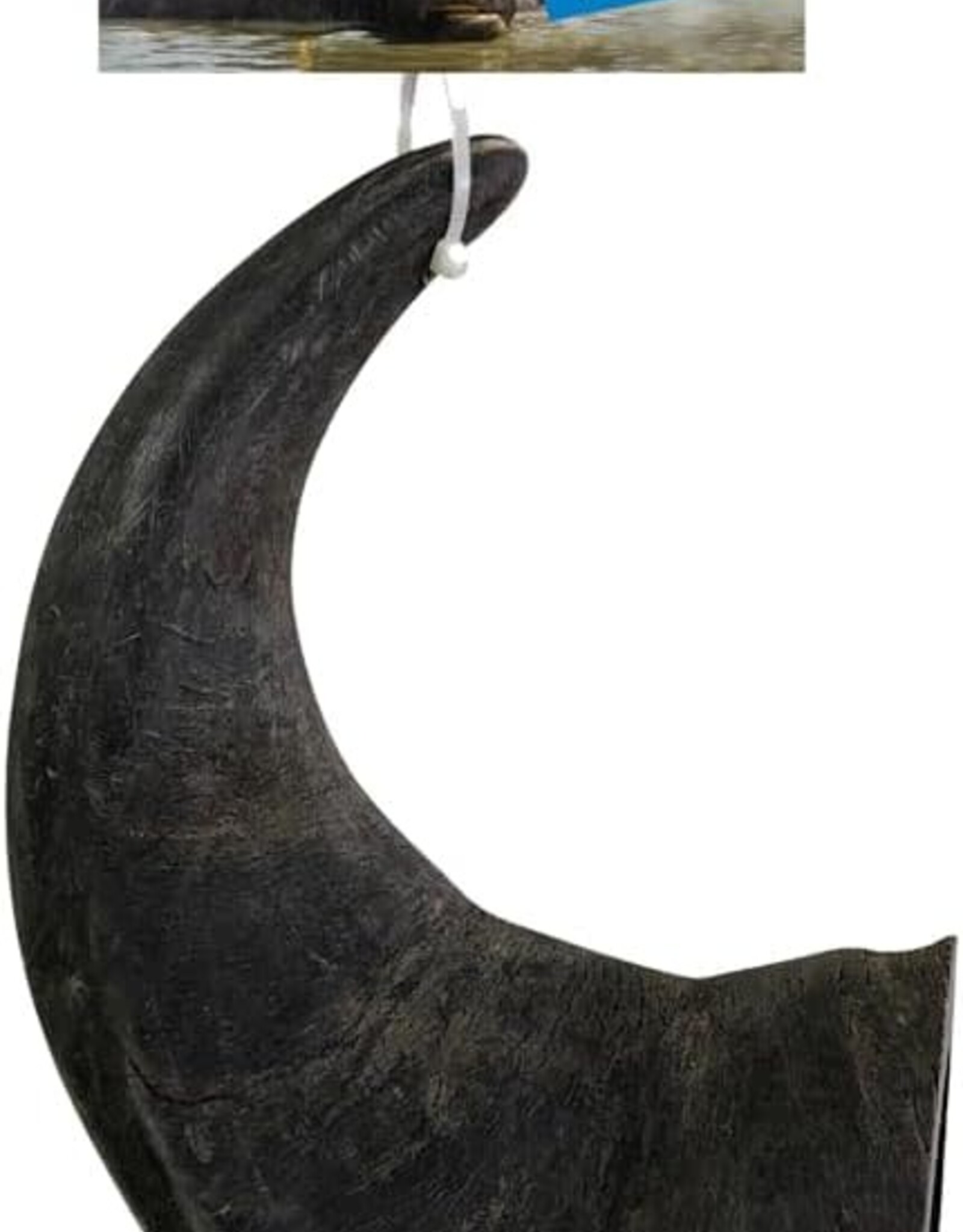 QT Dog QT Dog Buffalo Hornz Large