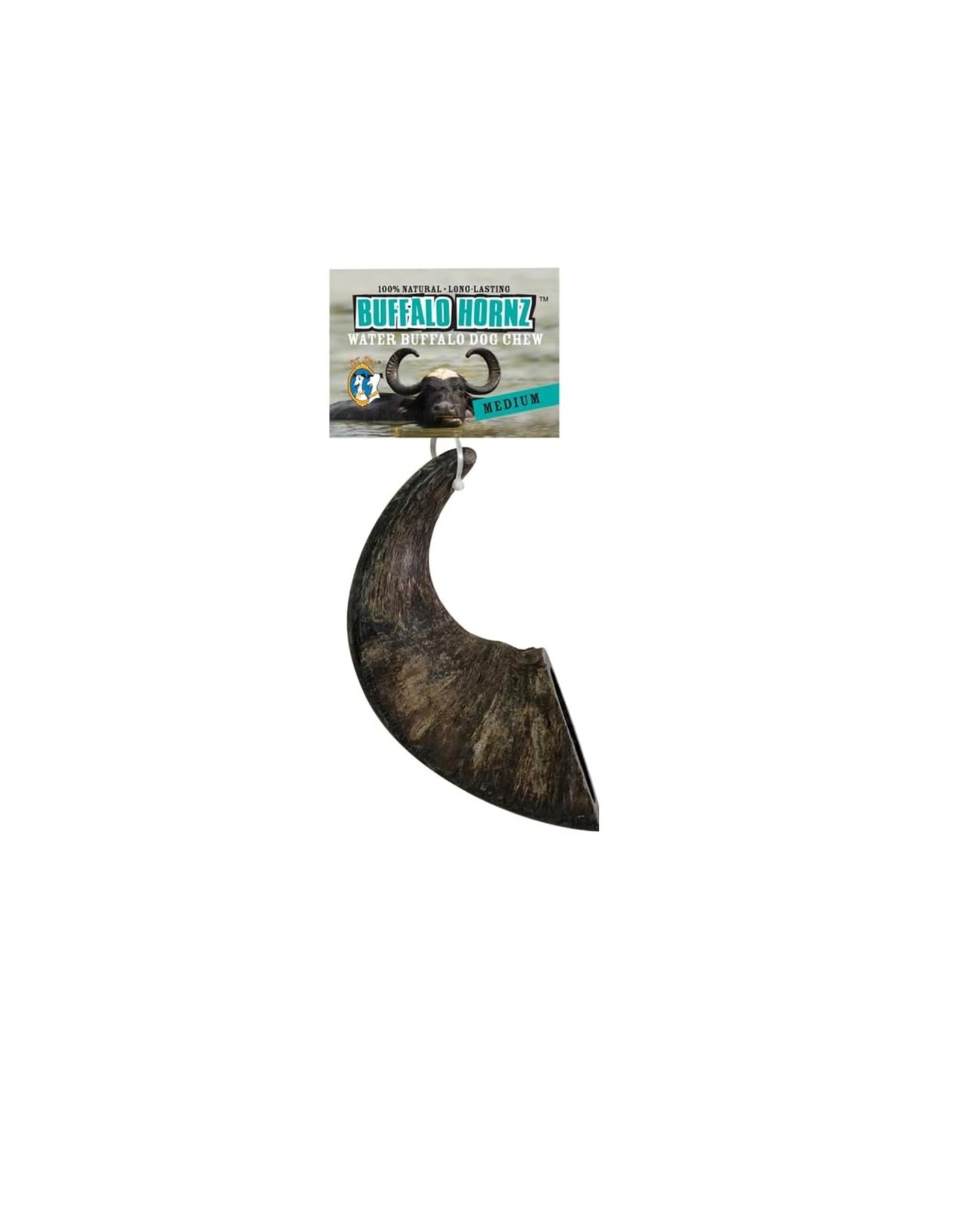 QT Dog QT Dog Buffalo Hornz Medium