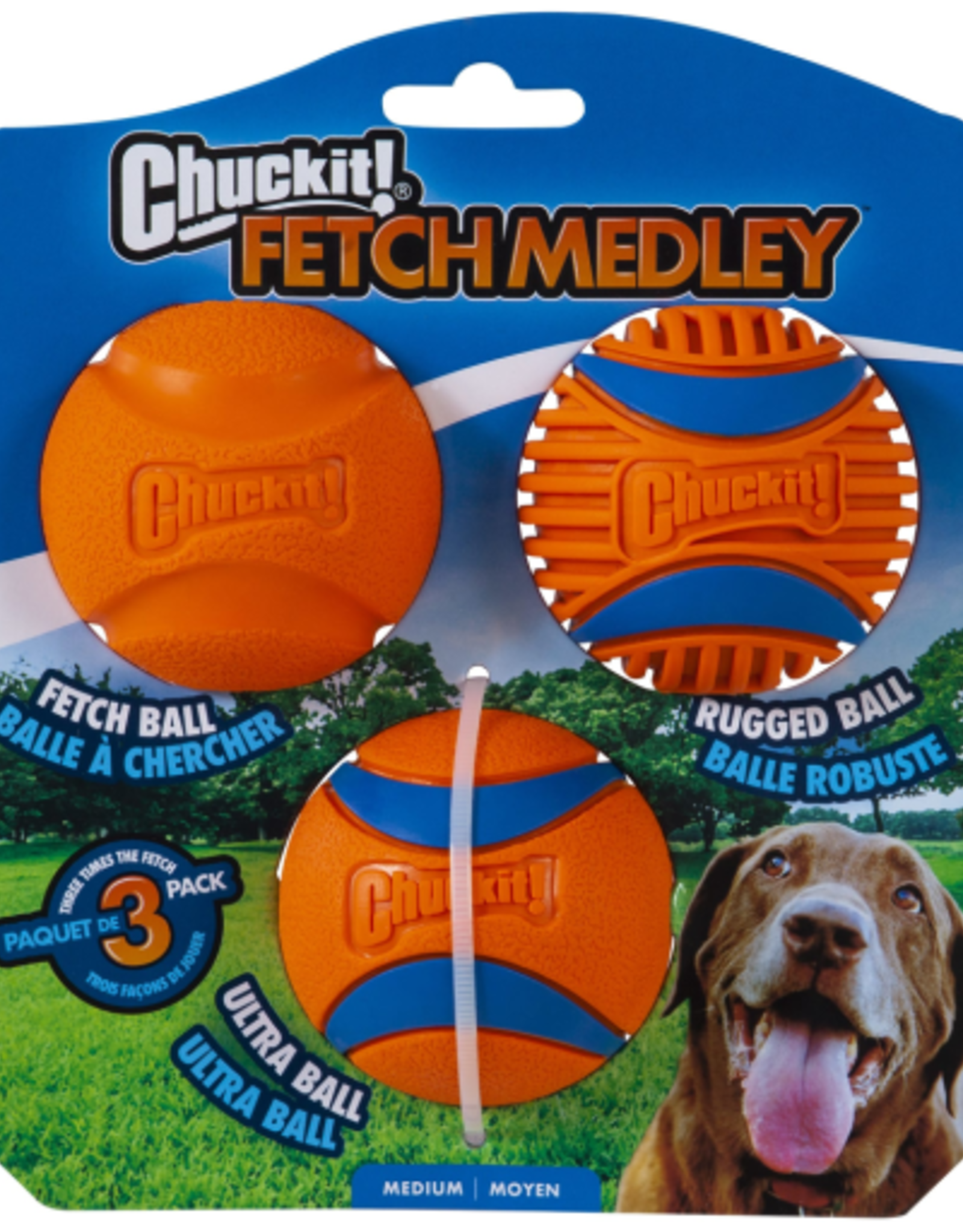 Chuckit! Chuckit! Fetch Medley Rubber Balls Fetch Dog Toy  Medium   Pack of 3  Assorted