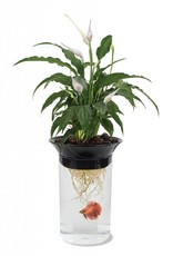 Penn-Plax Penn-Plax Nature's Aqua Ponics Planter Betta Bowl Kit Clear 67.6 oz