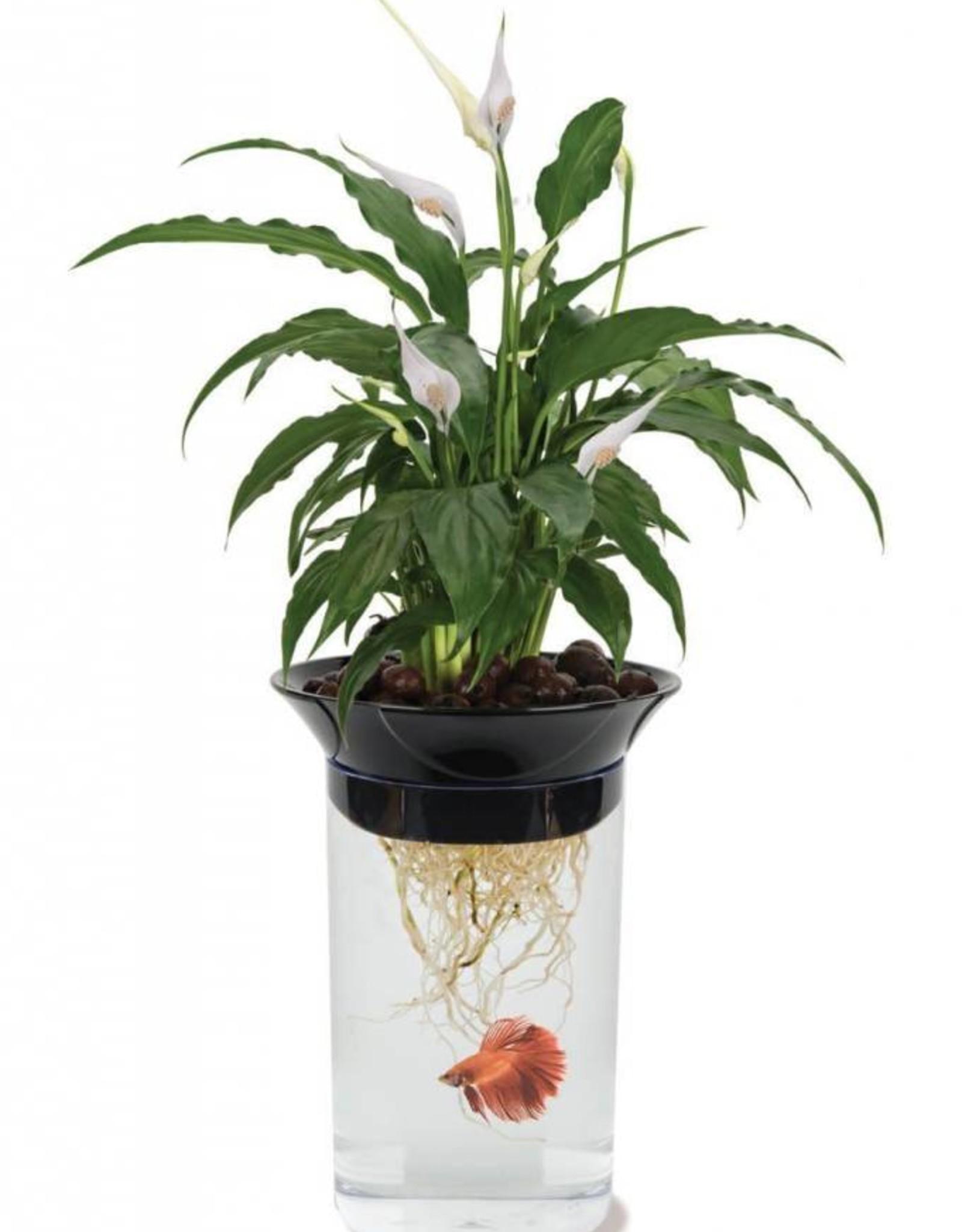 Penn-Plax Penn-Plax Nature's Aqua Ponics Planter Betta Bowl Kit Clear 67.6 oz