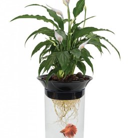 Penn-Plax Penn-Plax Nature's Aqua Ponics Planter Betta Bowl Kit Clear 67.6 oz