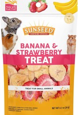 SUN SEED CO. INC. Sunseed Small Animal Treat Banana and Strawberry .7oz
