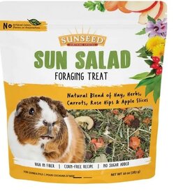 Vitakraft Sunseed  Sun Salad for Guinea Pig 10oz