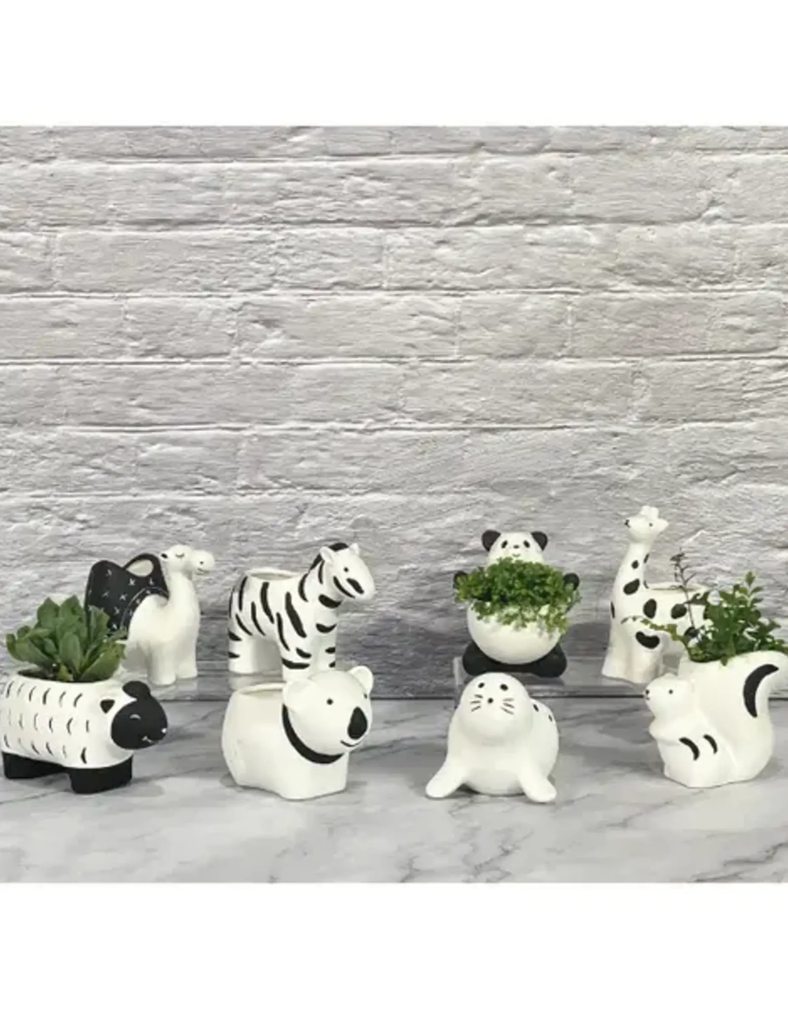 Black & White Animal Planters Assorted 4'-6.5"