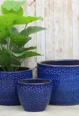 Seasponge Toga Planter Imperial Blue 14.25x10.25