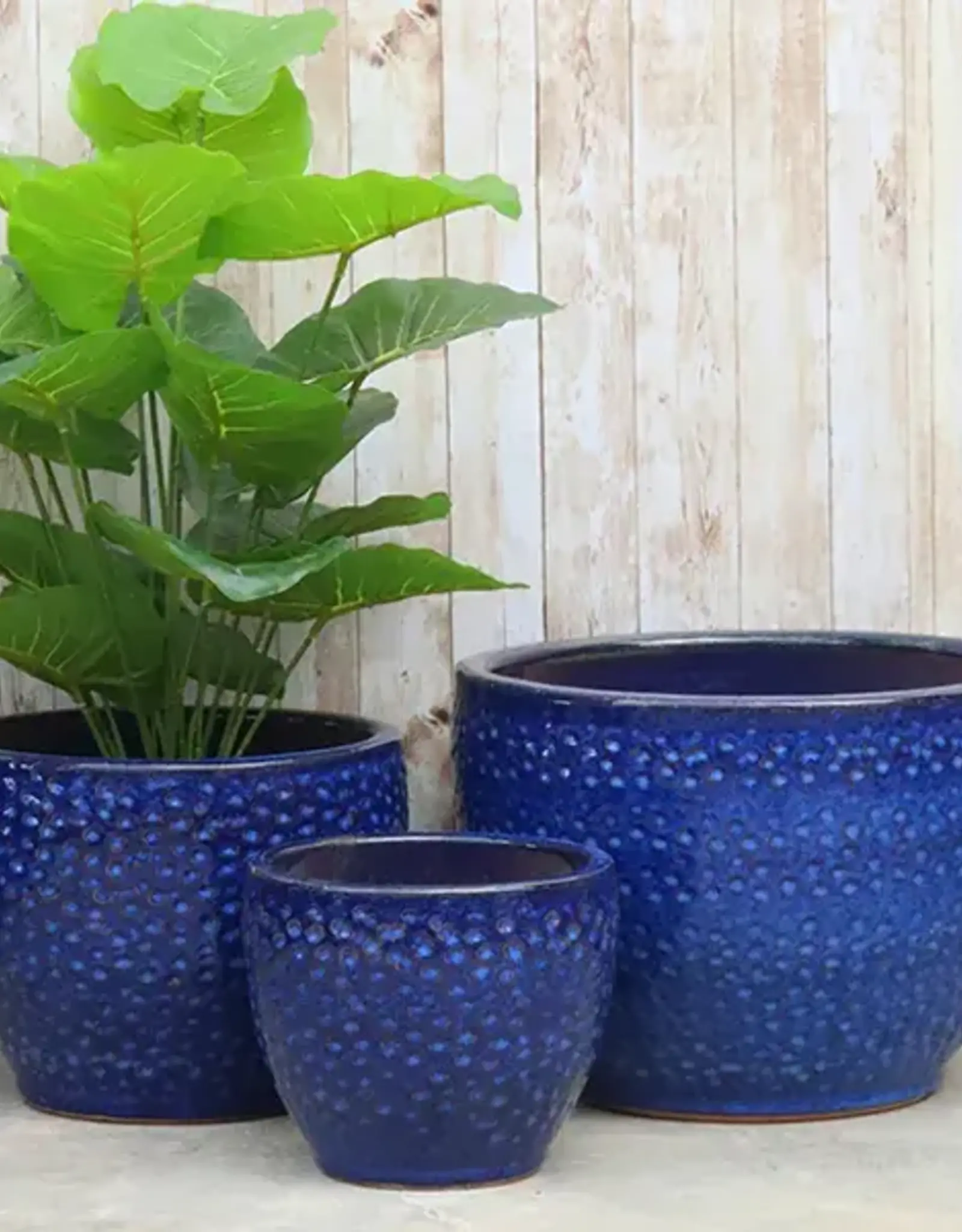 Seasponge Toga Planter Imperial Blue 14.25x10.25