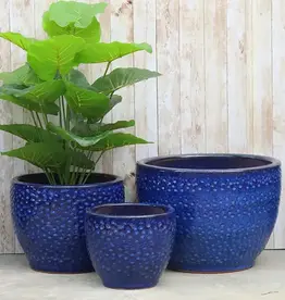 Seasponge Toga Planter Imperial Blue 14.25x10.25