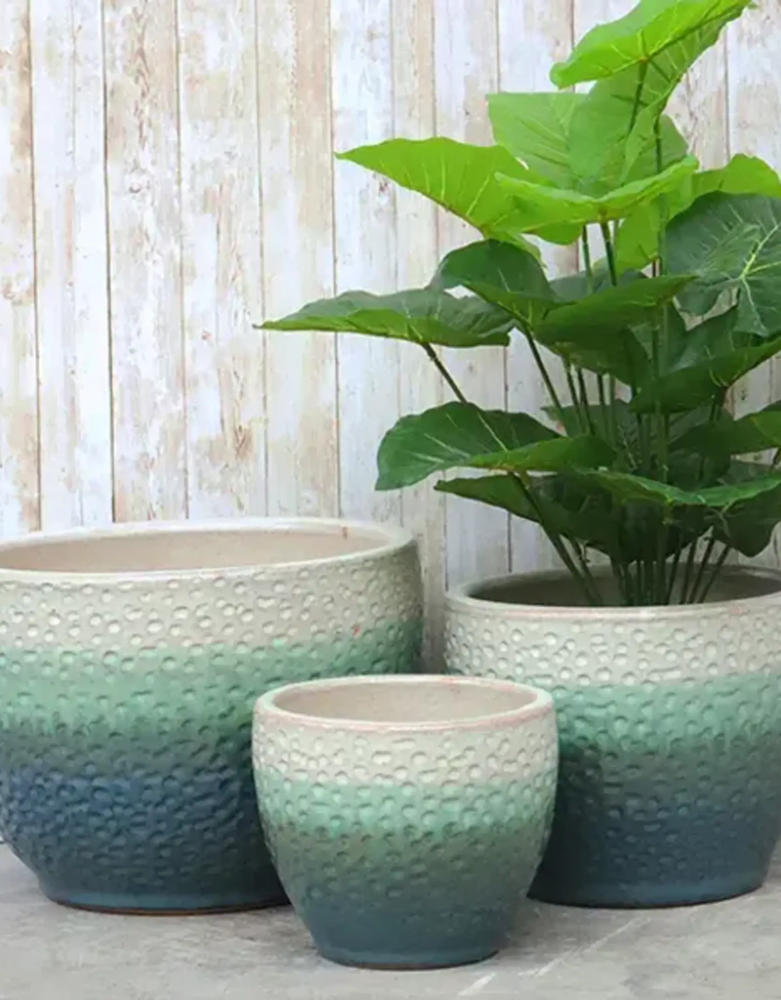 Seasponge Toga Planter Horizon Green 14.25x10.25