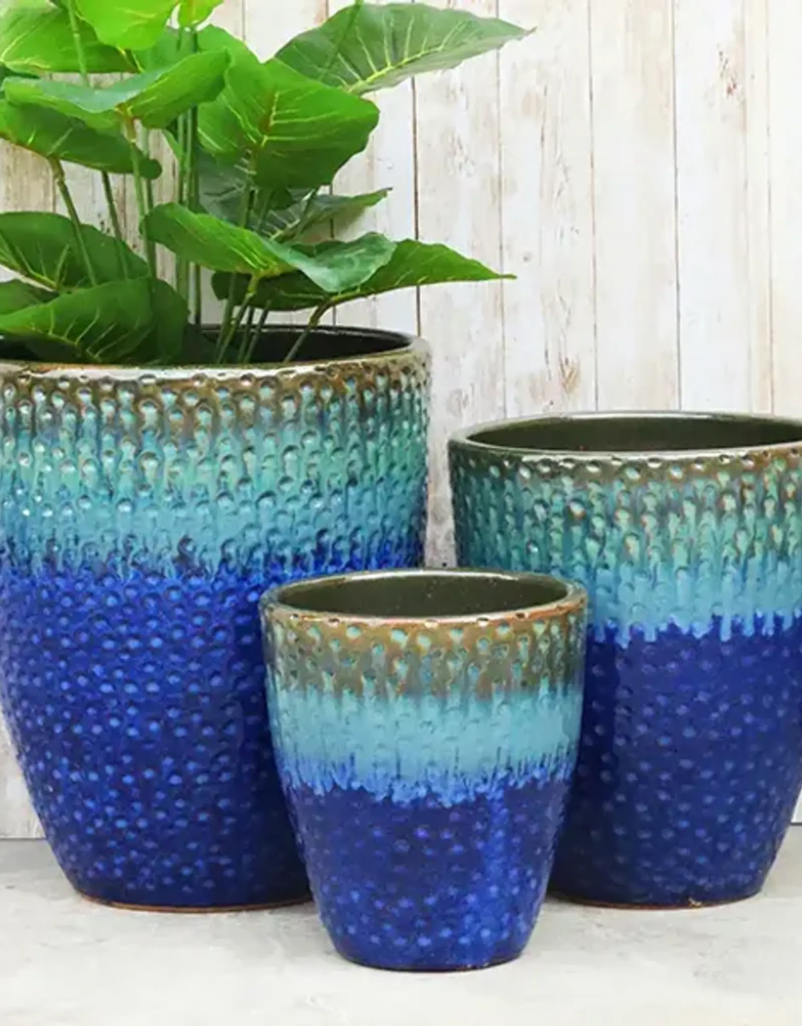 Seasponge Medium Egg Planter Old Jade Blue 12.5x14.25