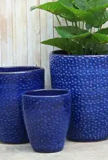Seasponge Medium Egg Planter Imperial Blue 12.5x14.25