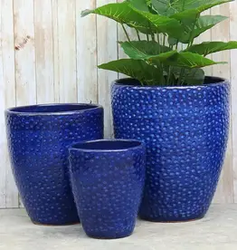 Seasponge Medium Egg Planter Imperial Blue 12.5x14.25