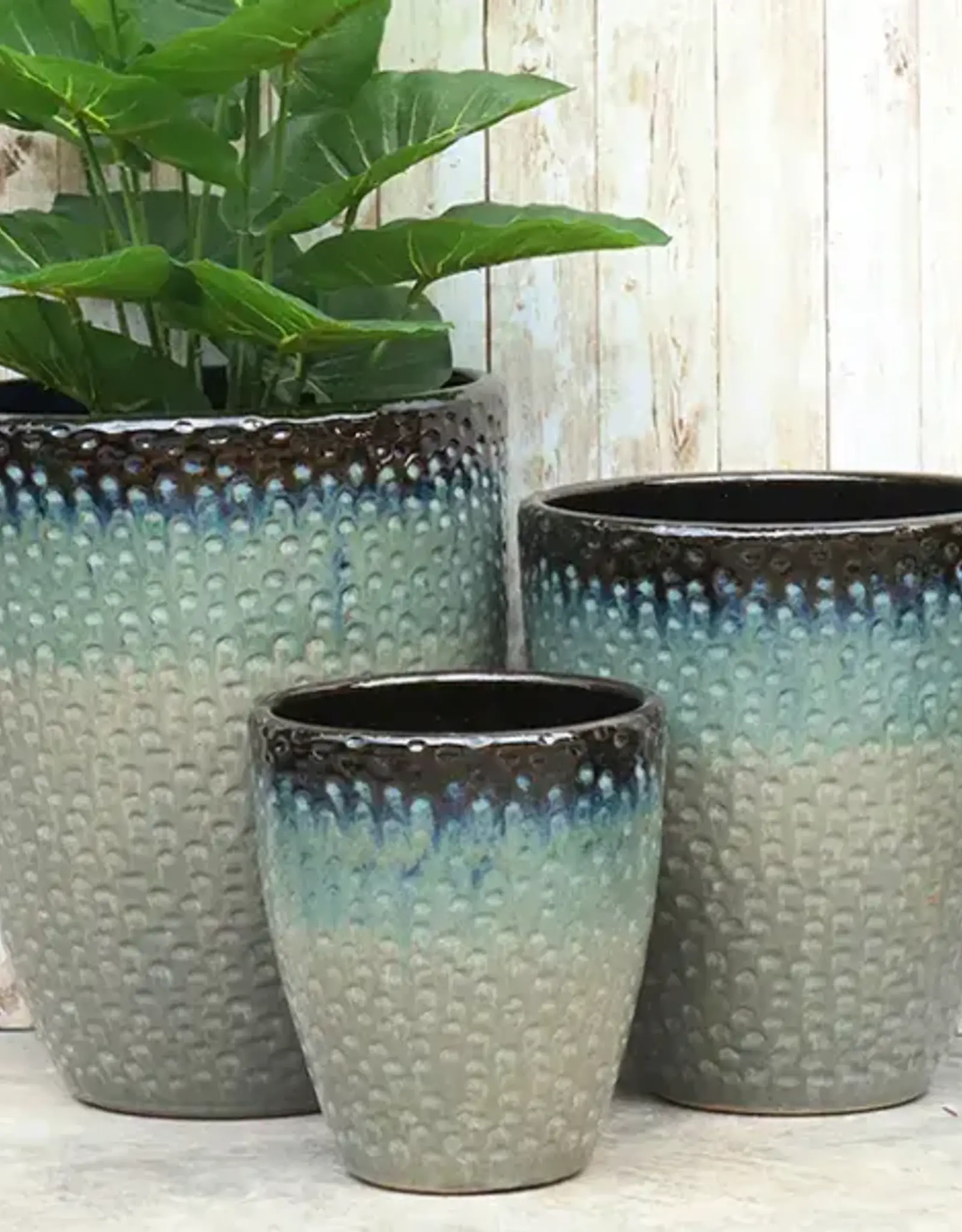 Seasponge Medium Egg Planter Elsa Grey 12.5x14.25