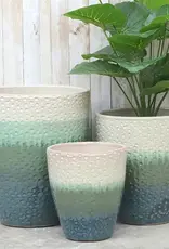 Seasponge Medium Egg Planter Horizon Green 10.75x11.75