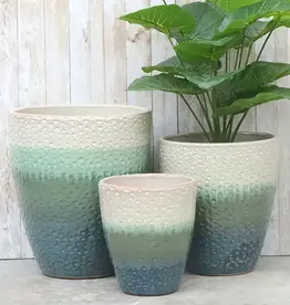 Seasponge Medium Egg Planter Horizon Green 12.5x14.25