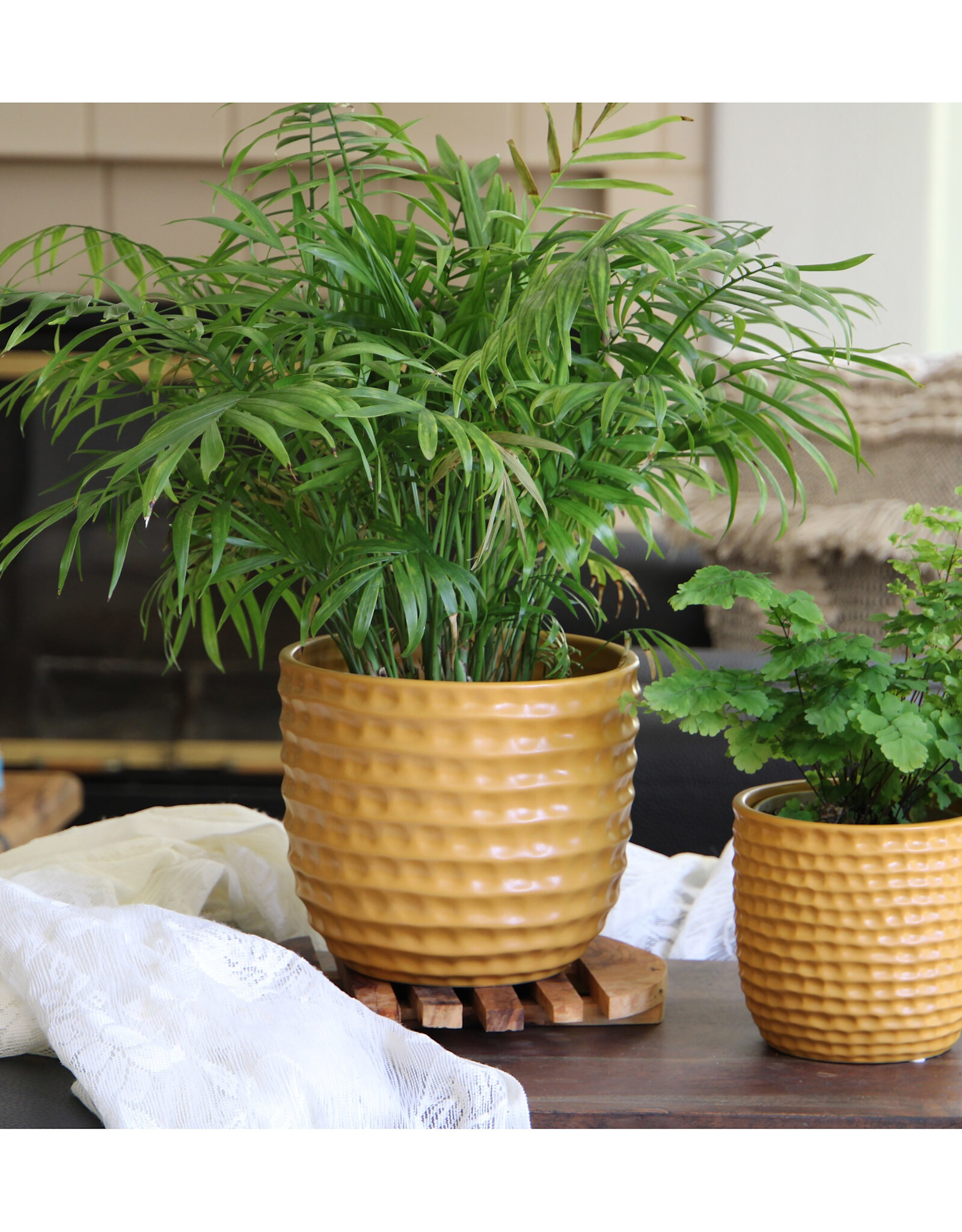 Pacific Home & Garden Honeycomb Planter  - 6.5in x 5.5in - Mustard