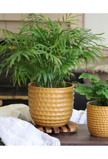 Pacific Home & Garden Honeycomb Planter  - 5.5in x 5in - Mustard
