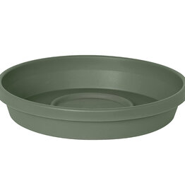 Bloem® Terra Saucer  - 20in - Basil
