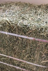 Anderson ALFALFA HAY COMPRESSED BALES by Anderson