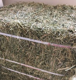 Anderson ALFALFA HAY COMPRESSED BALES by Anderson