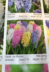 Netherland Bulb Company Hyacinth Easter Joy Mixture 5/pk