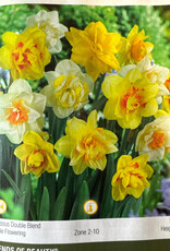 Netherland Bulb Company Narcissus Double Blend 14/pk