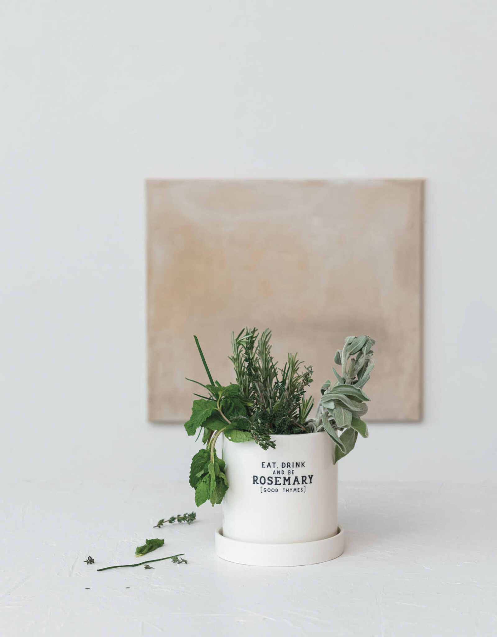 Stoneware Planter w/ Saucer & Wax Relief Saying (Holds 4" Pot) ©
