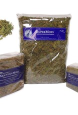 SuperMoss® Natural Dried Forest Moss  - 534cu in (16oz) - Green - Bagged