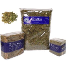 SuperMoss® Natural Dried Forest Moss  - 534cu in (16oz) - Green - Bagged