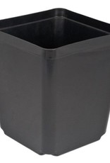 McConkey McConkey S55-1 5.5in Square Black Pot  NOT FOR RETAIL