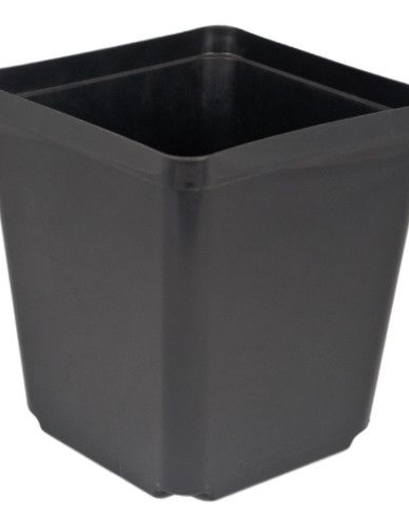 McConkey McConkey S55-1 5.5in Square Black Pot  NOT FOR RETAIL